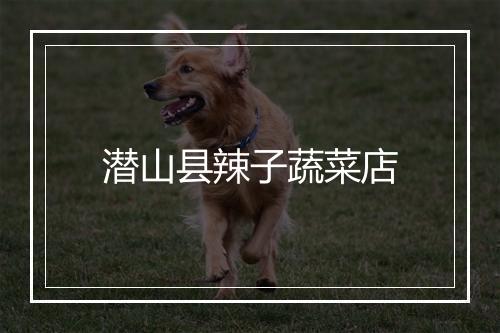 潜山县辣子蔬菜店
