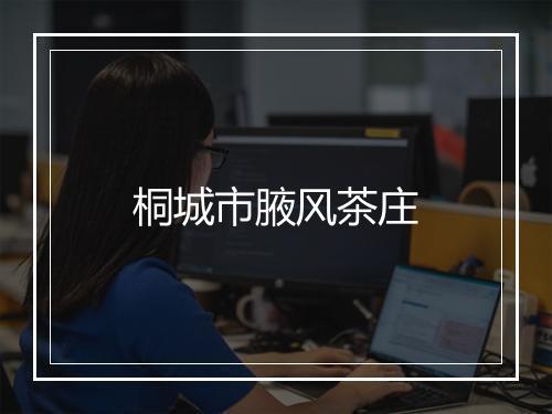 桐城市腋风茶庄