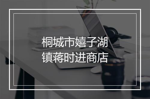 桐城市嬉子湖镇蒋时进商店