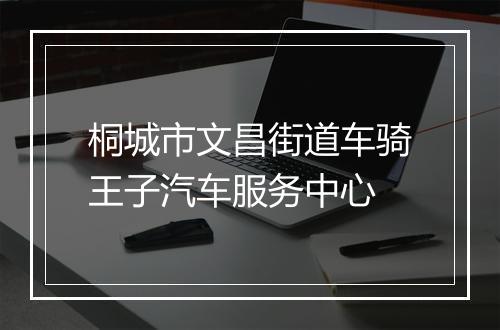 桐城市文昌街道车骑王子汽车服务中心