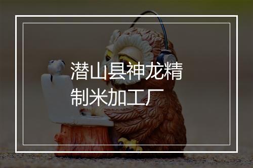 潜山县神龙精制米加工厂