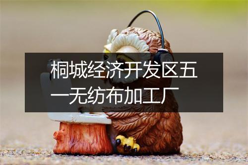 桐城经济开发区五一无纺布加工厂