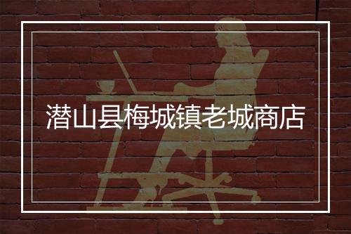 潜山县梅城镇老城商店
