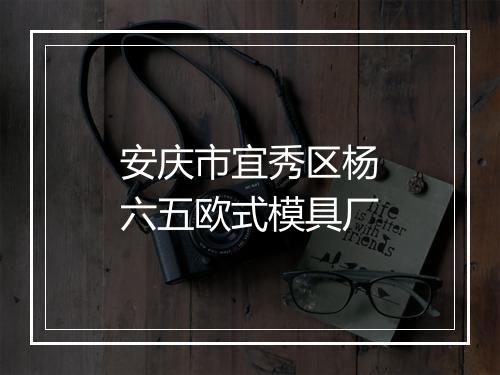 安庆市宜秀区杨六五欧式模具厂