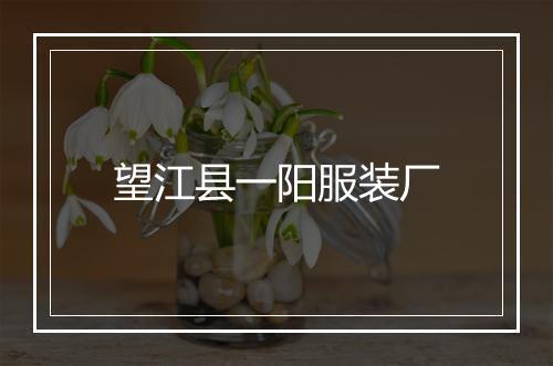 望江县一阳服装厂