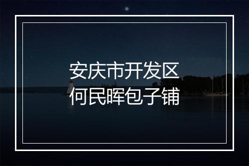 安庆市开发区何民晖包子铺