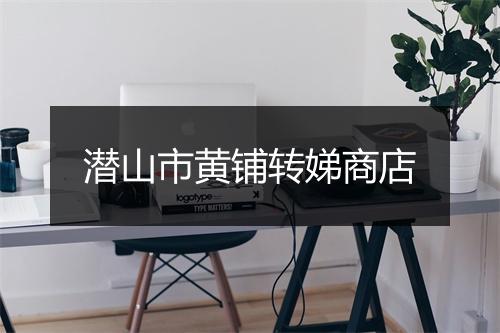 潜山市黄铺转娣商店