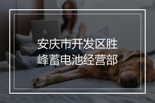安庆市开发区胜峰蓄电池经营部
