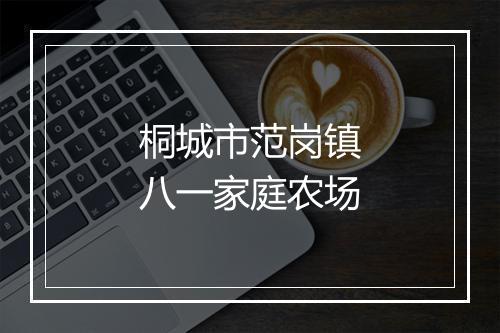 桐城市范岗镇八一家庭农场