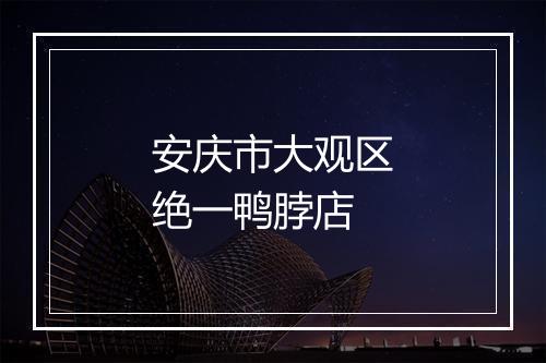 安庆市大观区绝一鸭脖店