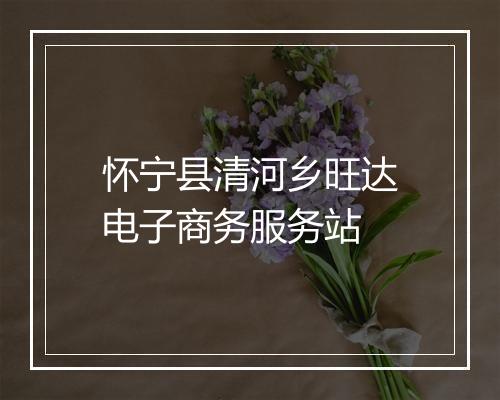 怀宁县清河乡旺达电子商务服务站
