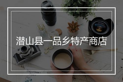 潜山县一品乡特产商店