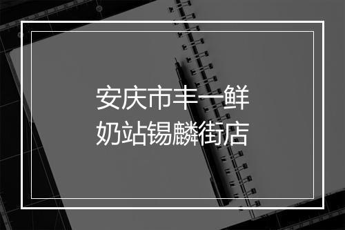 安庆市丰一鲜奶站锡麟街店