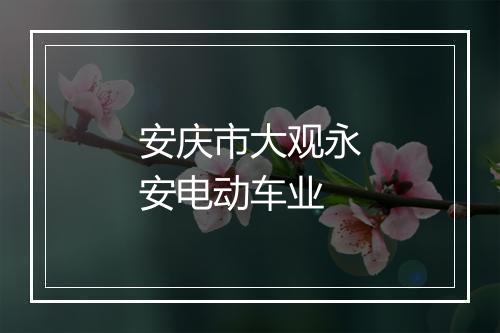 安庆市大观永安电动车业