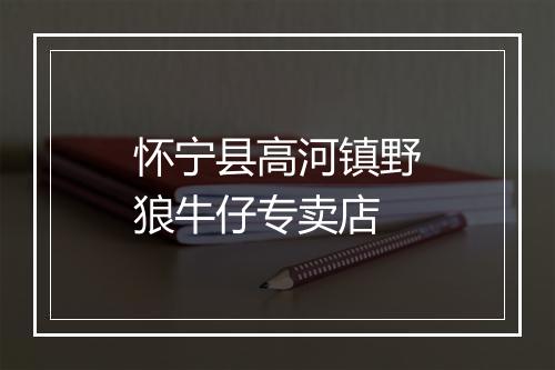 怀宁县高河镇野狼牛仔专卖店