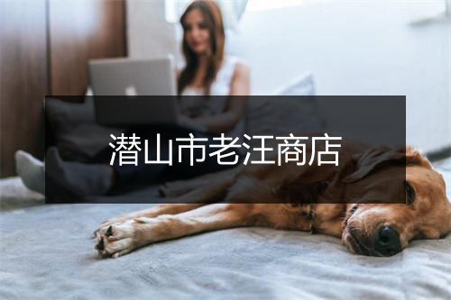 潜山市老汪商店
