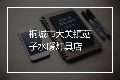 桐城市大关镇菇子水暖灯具店