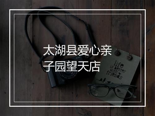 太湖县爱心亲子园望天店