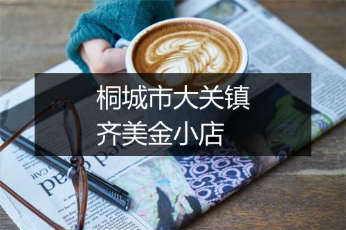 桐城市大关镇齐美金小店
