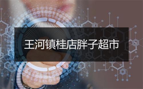 王河镇桂店胖子超市