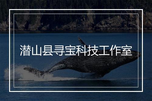 潜山县寻宝科技工作室