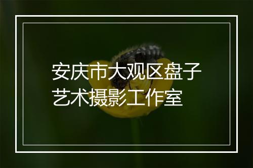 安庆市大观区盘子艺术摄影工作室