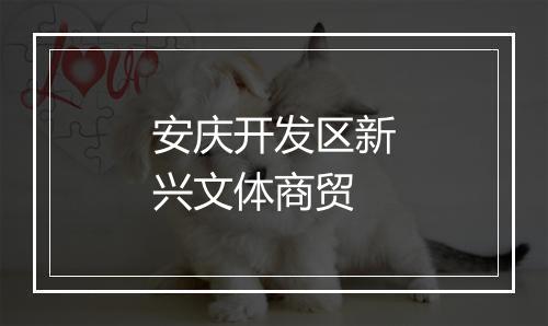 安庆开发区新兴文体商贸