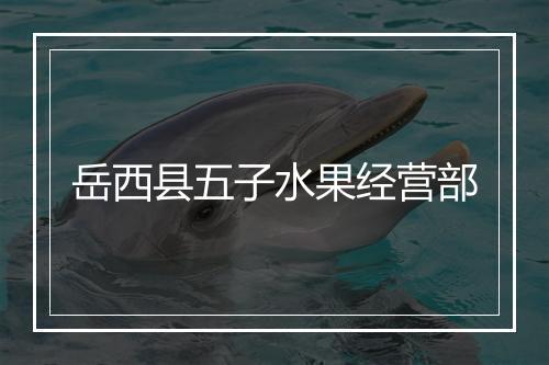 岳西县五子水果经营部