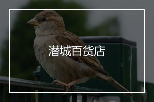潜城百货店