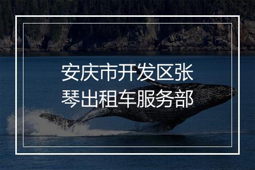安庆市开发区张琴出租车服务部