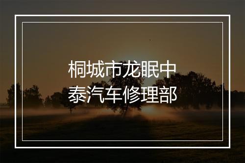 桐城市龙眠中泰汽车修理部