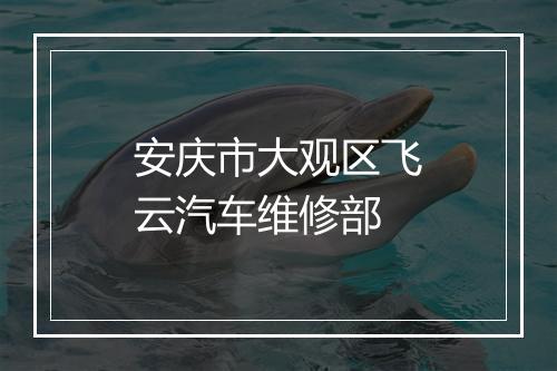 安庆市大观区飞云汽车维修部