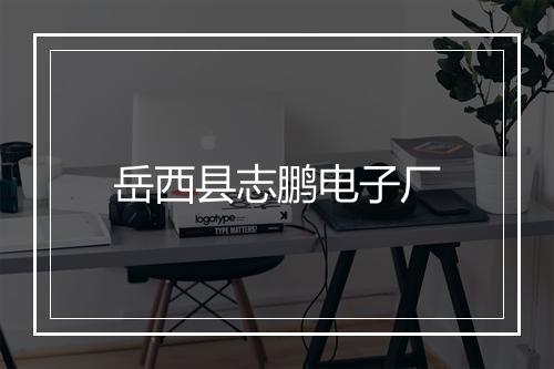岳西县志鹏电子厂
