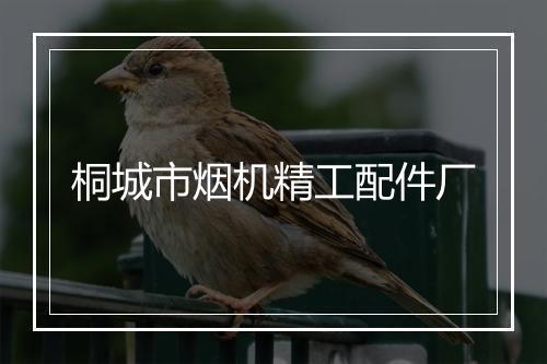 桐城市烟机精工配件厂