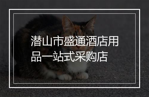 潜山市盛通酒店用品一站式采购店