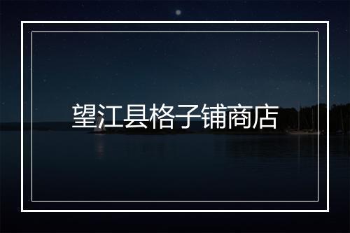 望江县格子铺商店