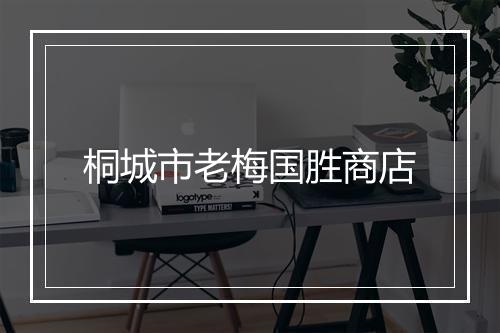 桐城市老梅国胜商店