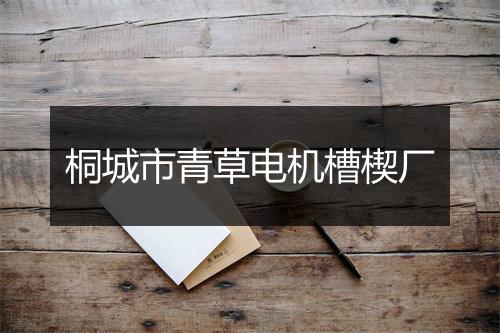 桐城市青草电机槽楔厂