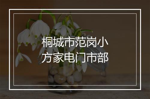 桐城市范岗小方家电门市部