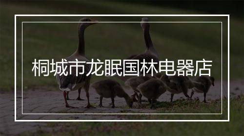 桐城市龙眠国林电器店