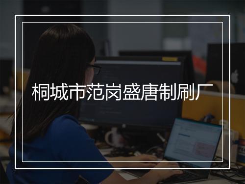 桐城市范岗盛唐制刷厂