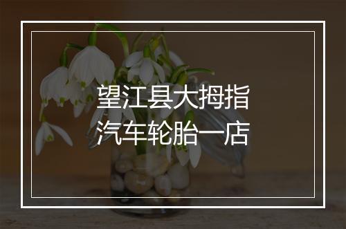 望江县大拇指汽车轮胎一店