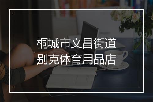 桐城市文昌街道别克体育用品店