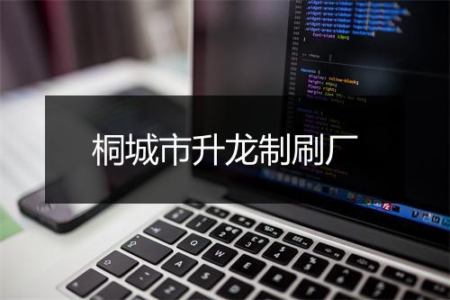 桐城市升龙制刷厂