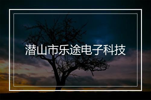 潜山市乐途电子科技