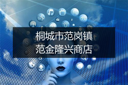桐城市范岗镇范金隆兴商店