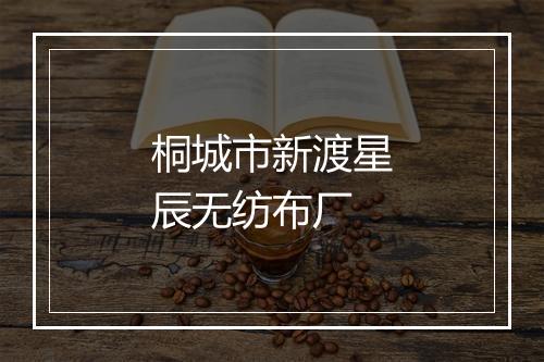 桐城市新渡星辰无纺布厂