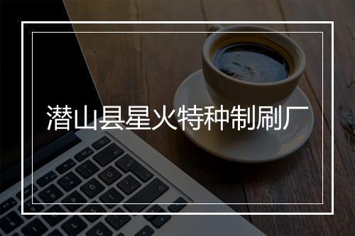 潜山县星火特种制刷厂