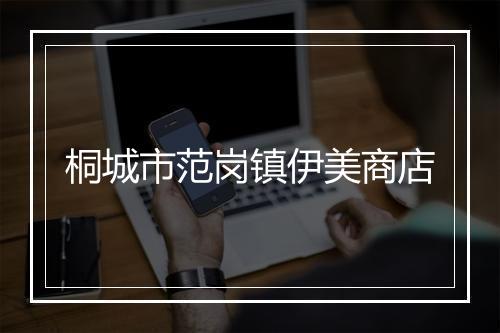 桐城市范岗镇伊美商店