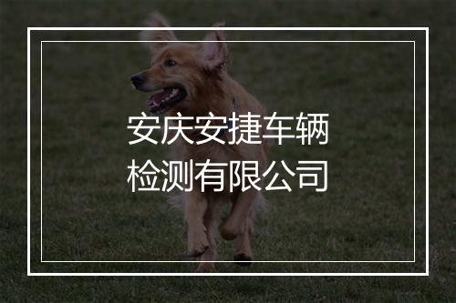 安庆安捷车辆检测有限公司